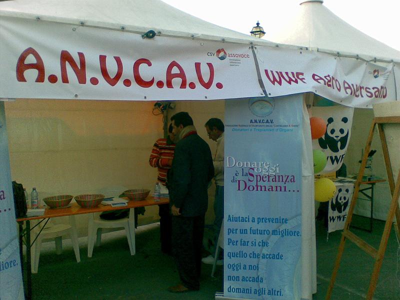 meeting csv (21).jpg